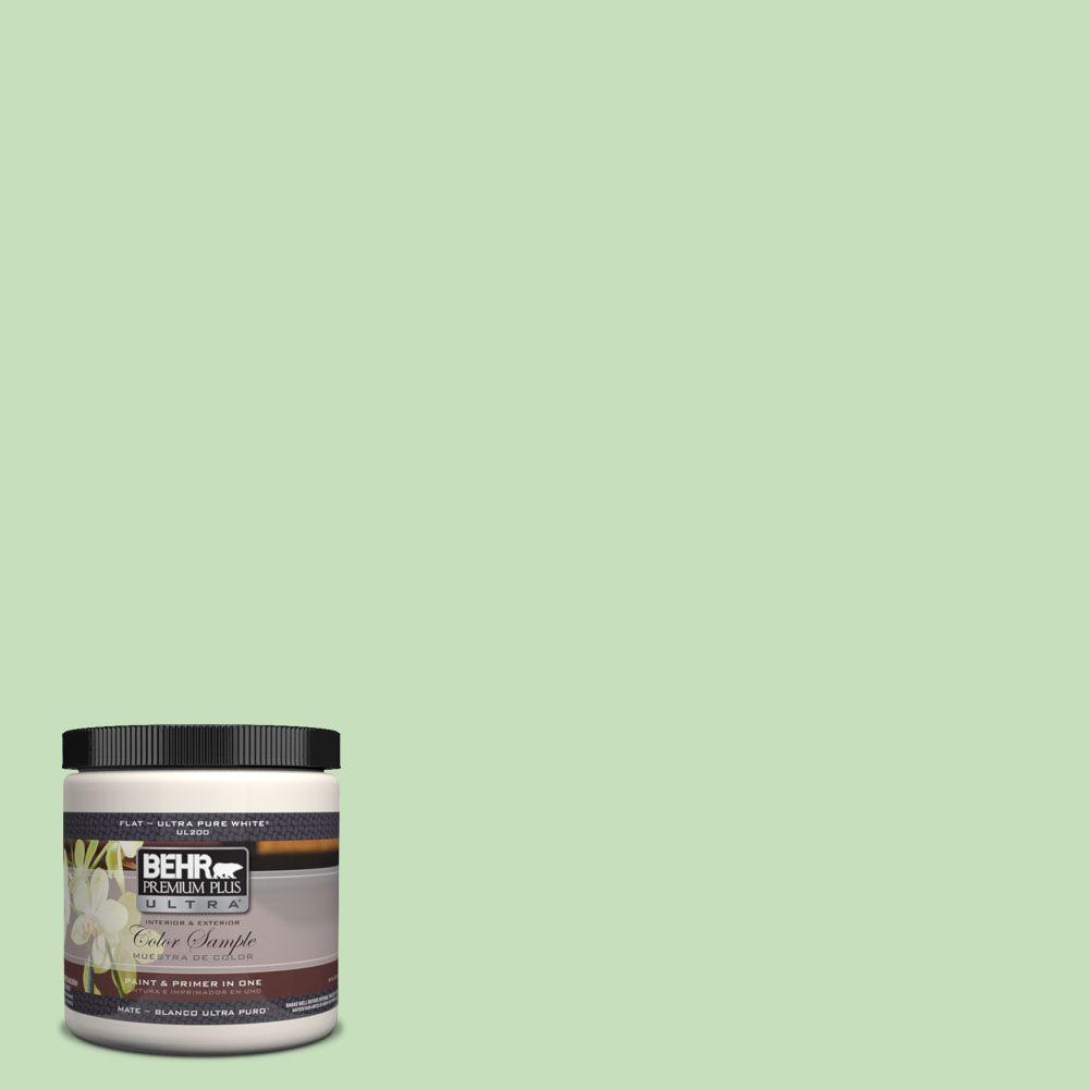 Behr Premium Plus Ultra Oz C Rockwood Jade Matte Interior