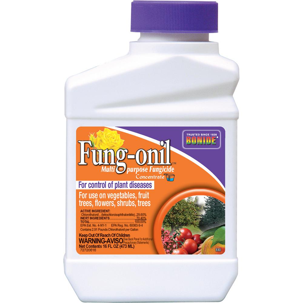 Bonide 16 Oz Fung Onil Multi Purpose Fungicide Concentrate 880 The