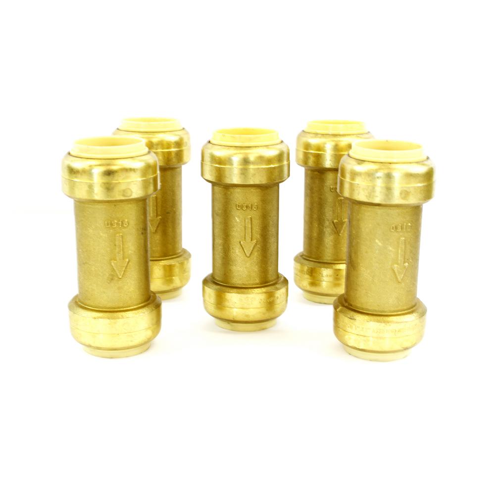 Homewerks Worldwide In Brass Fpt X Fpt Swing Check Valve