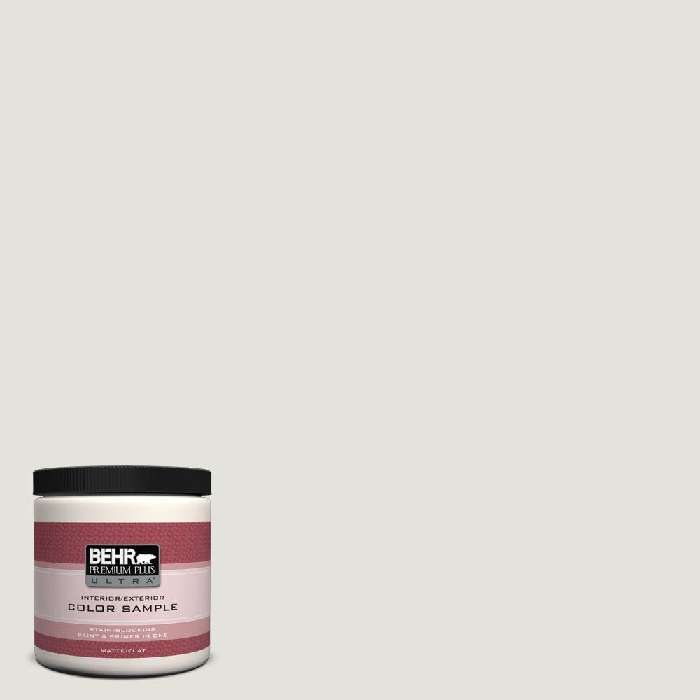 BEHR Premium Plus Ultra 8 Oz Home Decorators Collection HDC NT 24