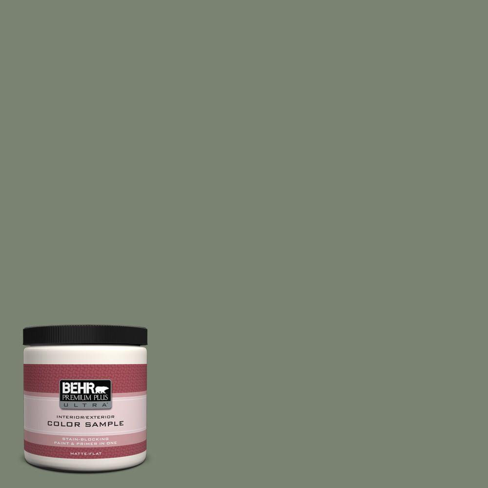 Behr Premium Plus Ultra Oz Icc Sage Green Interior Exterior