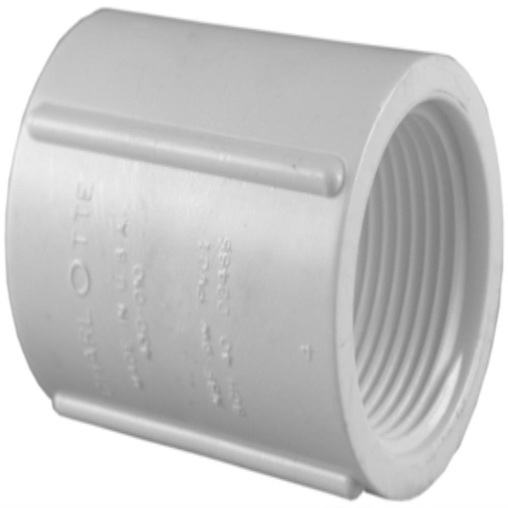 Charlotte Pipe In Pvc Schedule Fpt X Fpt Coupling Pvc Hd The Home Depot