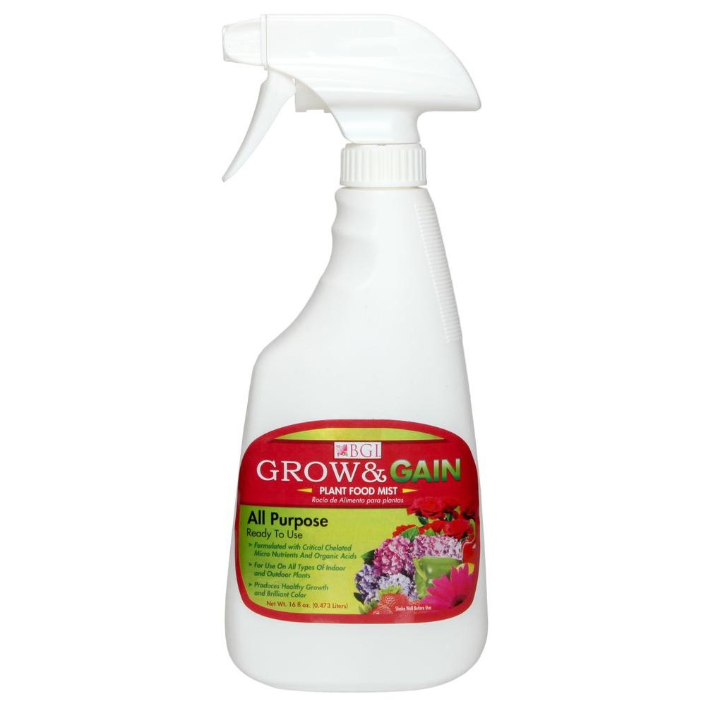 Full Shade Annuals Garden Plants & Flowers The Home Depot