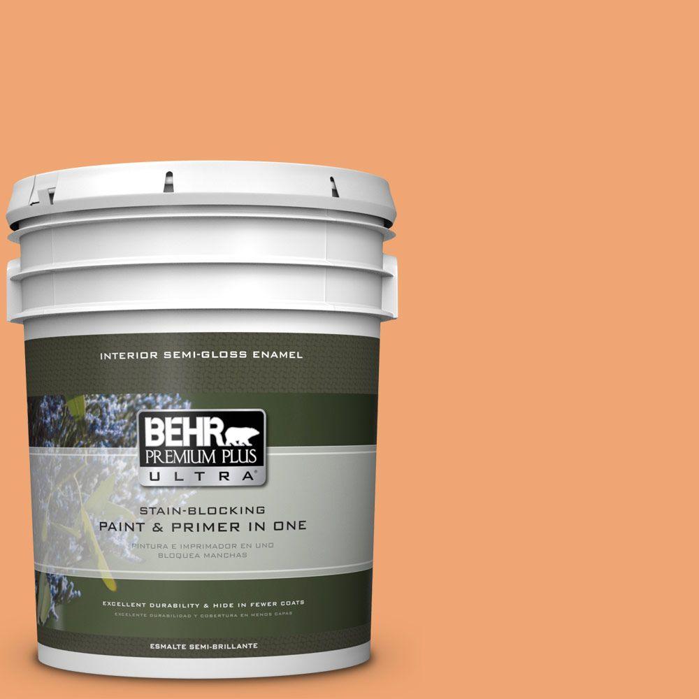 Behr Premium Plus Ultra Gal N Lunar Surface Semi Gloss Enamel