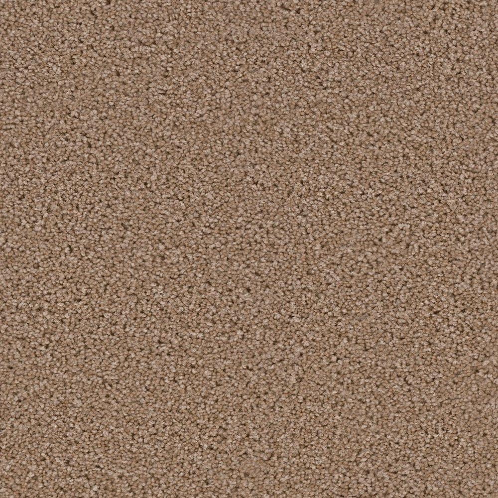 Browns / Tans Hypoallergenic Carpet Carpet & Carpet Tile The