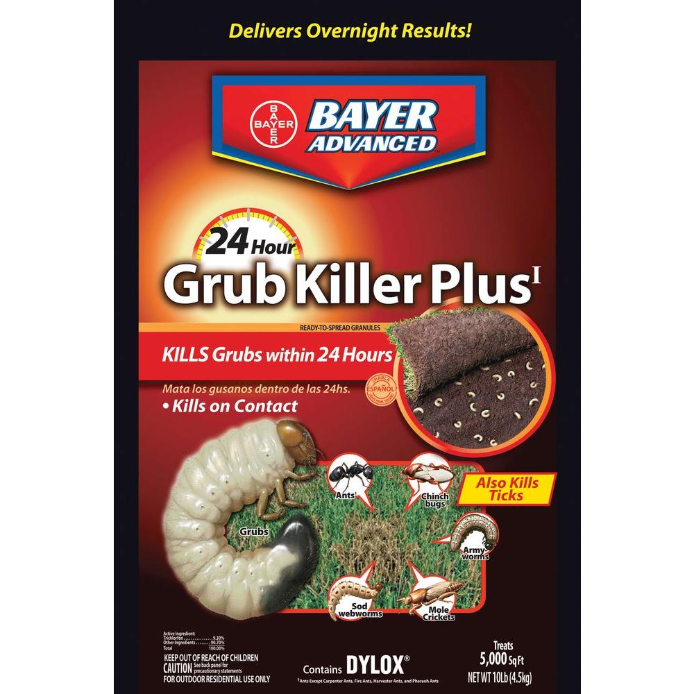 Put out the granular insecticide to kill grubs, etc. 