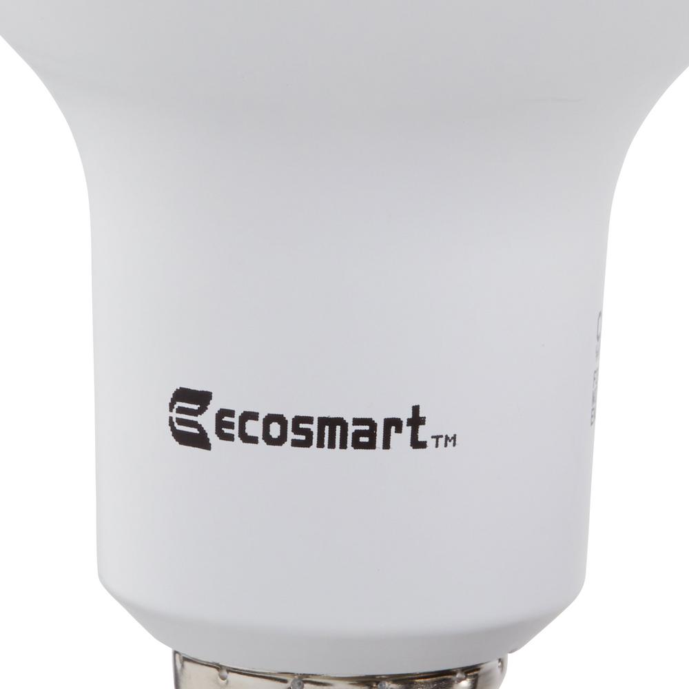 ecosmart 5cspr1000stq101