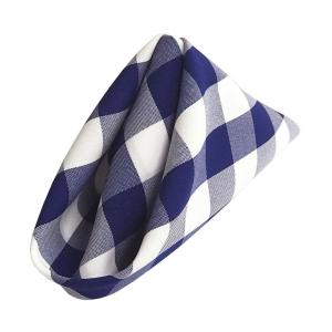18 in. x 18 in. Gingham Checke Napkins (Pack of 10)