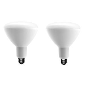 90 Watts - LED Light Bulbs - Light Bulbs - The Home Depot
