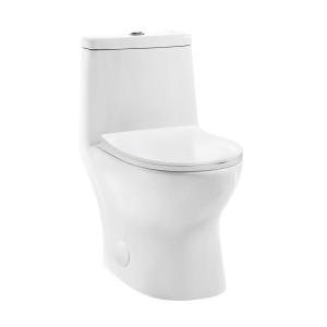 10 inch toilet lowe's