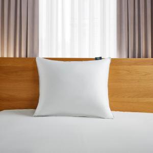 Serta 300 Thread Count Back Sleeper White Down Fiber Bed Pillow