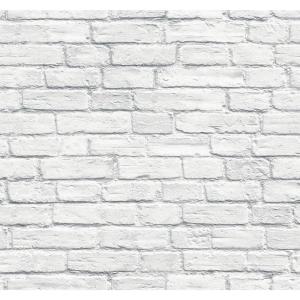 Aesthetic Wallpaper White Brick Wall  : Picture Wall Photo Wall White Fur Black And White White Wallpaper Pastel Wallpaper White Aesthetic Aesthetic Pastel Eden White 2 Inch Long Pile Soft Faux Fur Fabric For Fursuit, Cosplay Costume, Photo Prop, Trims.