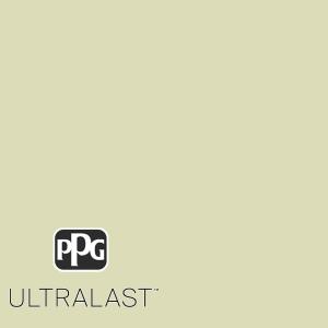 Beach Grass PPG1119-3  Paint and Primer_UL
