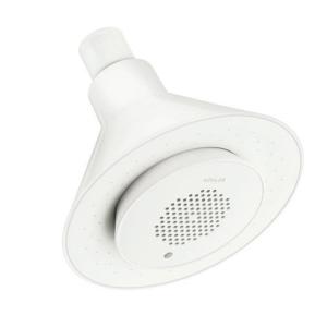 home depot shower speaker