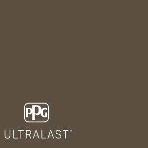 Star Anise PPG1022-7  Paint and Primer_UL