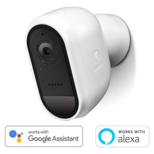 security camera google assistant