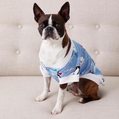 dog sleepwear