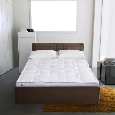 233 Thread Count 3'' White Down Top Featherbed