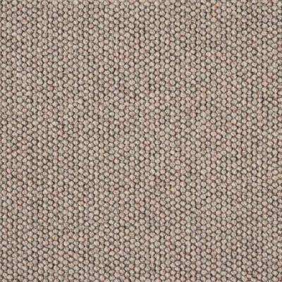 Trafficmaster Willow Kirkdale Texture 18 In X 18 In Carpet Tile 10 Tiles Case Ht004 815 1818 The Home Depot