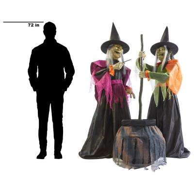 Witch - Halloween Decorations - Holiday Decorations - The Home Depot