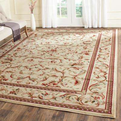 Oriental 10 X Area Rugs The Home Depot