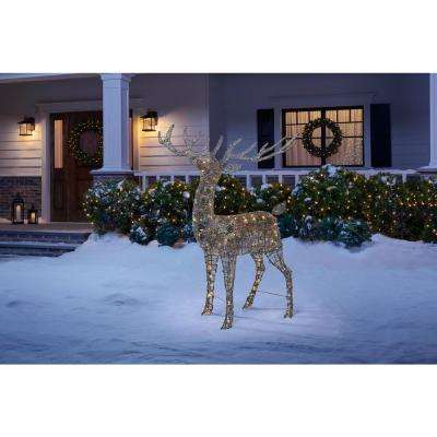 animated outdoor christmas lights