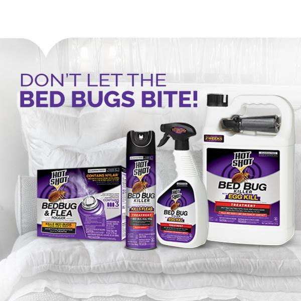 Hot Shot Complete Bed Bug Control Outdoors The Home Depot