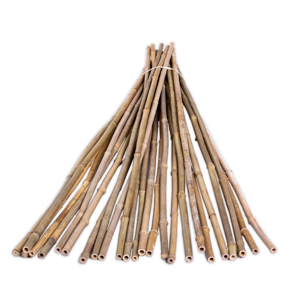 Backyard X Scapes 1 In D X 6 Ft H Bamboo Poles Natural 25 Piece