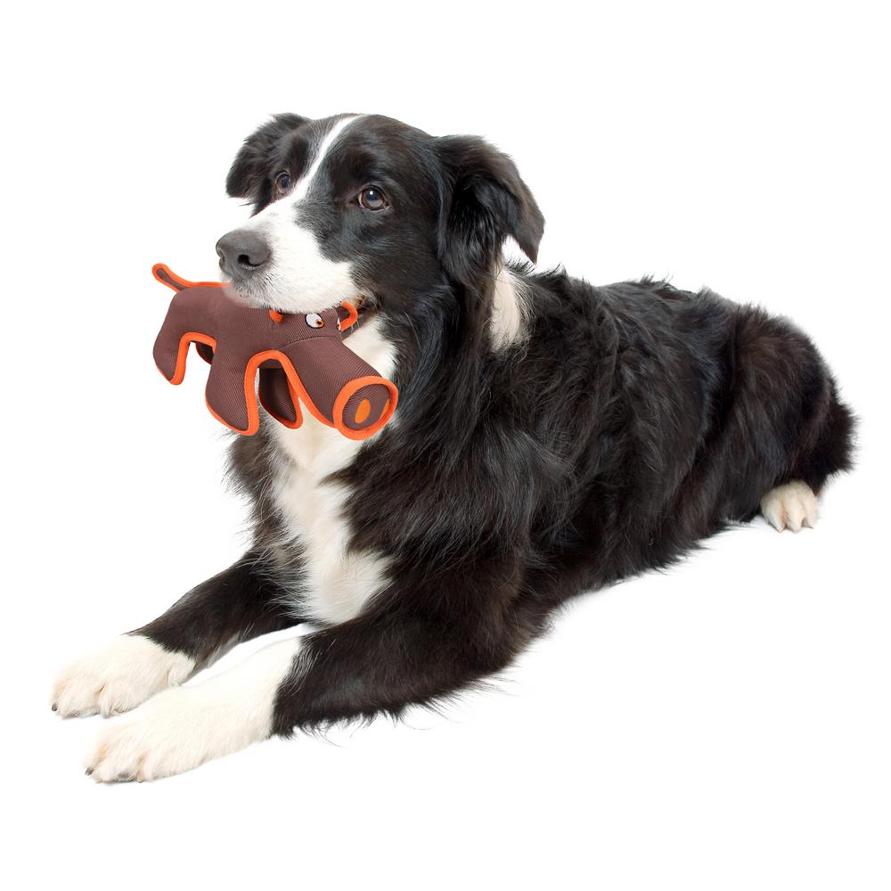 pet dog toy