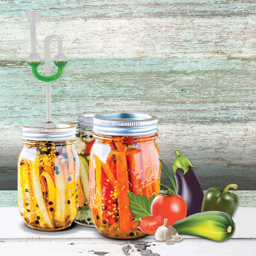 Harvest Fiesta Fermentation Veggie Jar Lid81920 The Home Depot