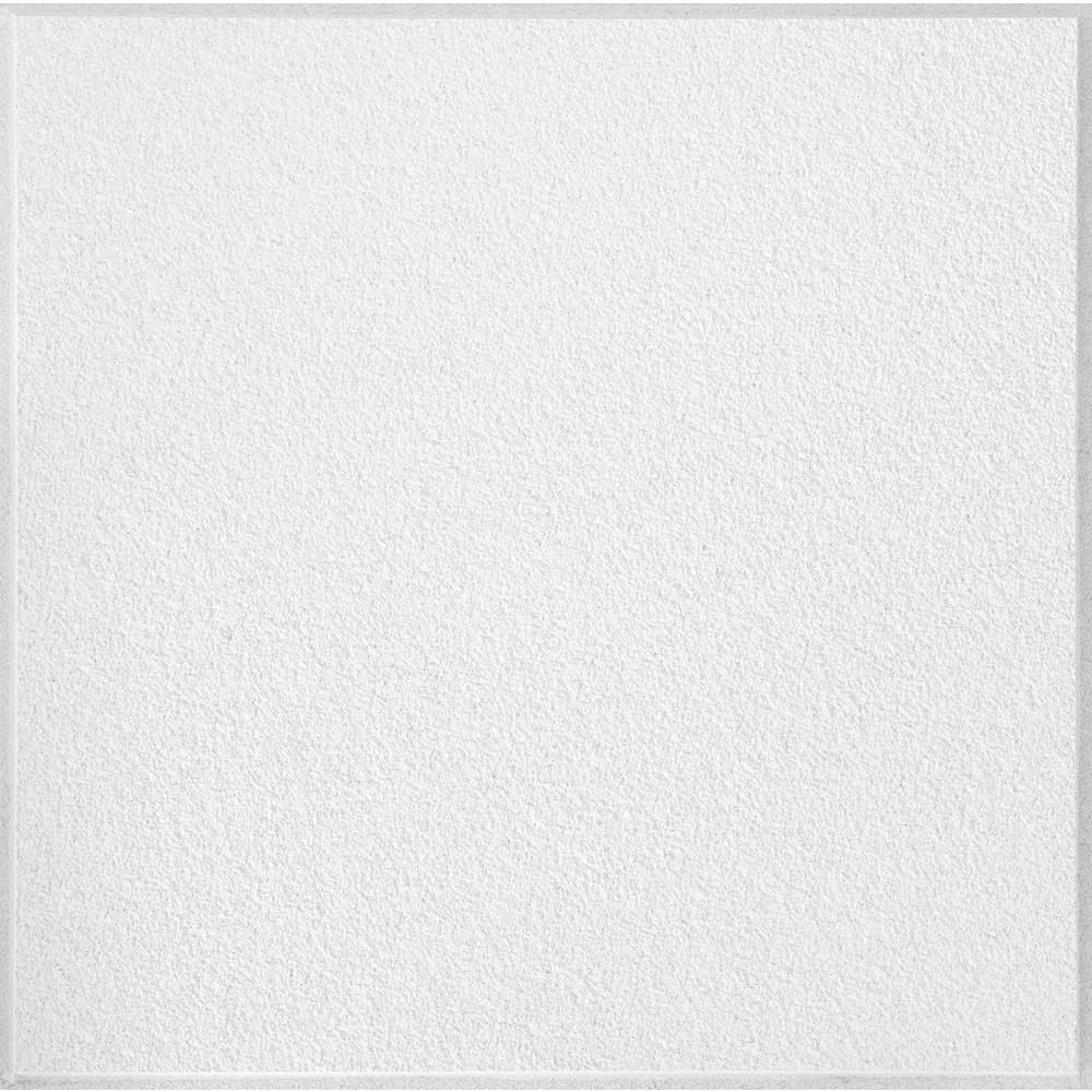 Armstrong Ceilings Classic Fine Textured Regular 24 In X 24 In X 3 4 In Ceiling Panels 12 Pack 954 The Home Depot