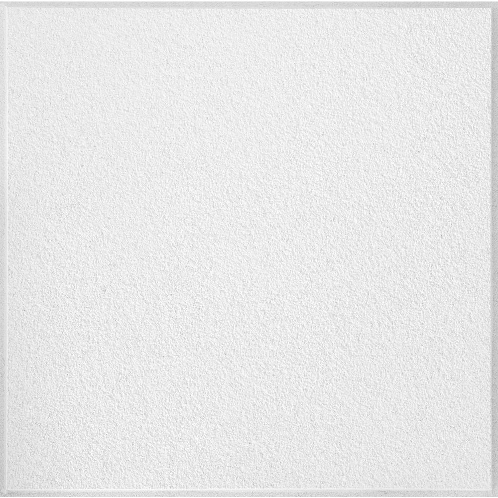 Armstrong Raised Panel 2 Ft X Ceiling Panels 6 Clic Fine Textured Regular 24 In X 3 4