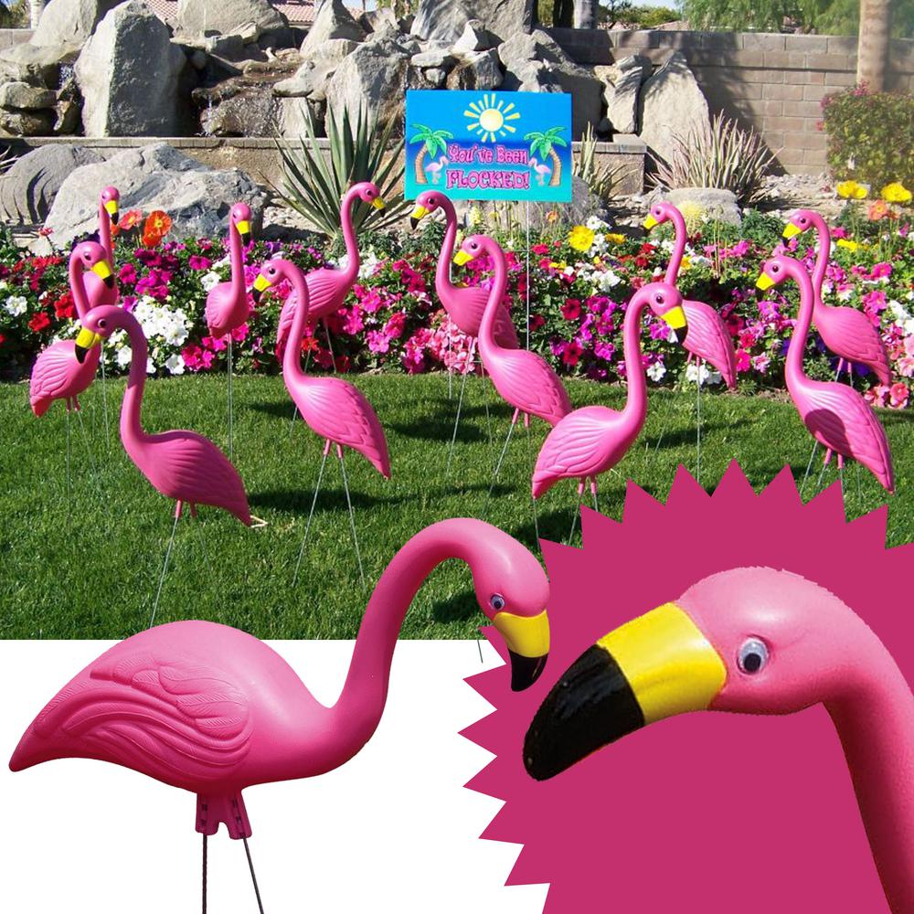 flamingo 12