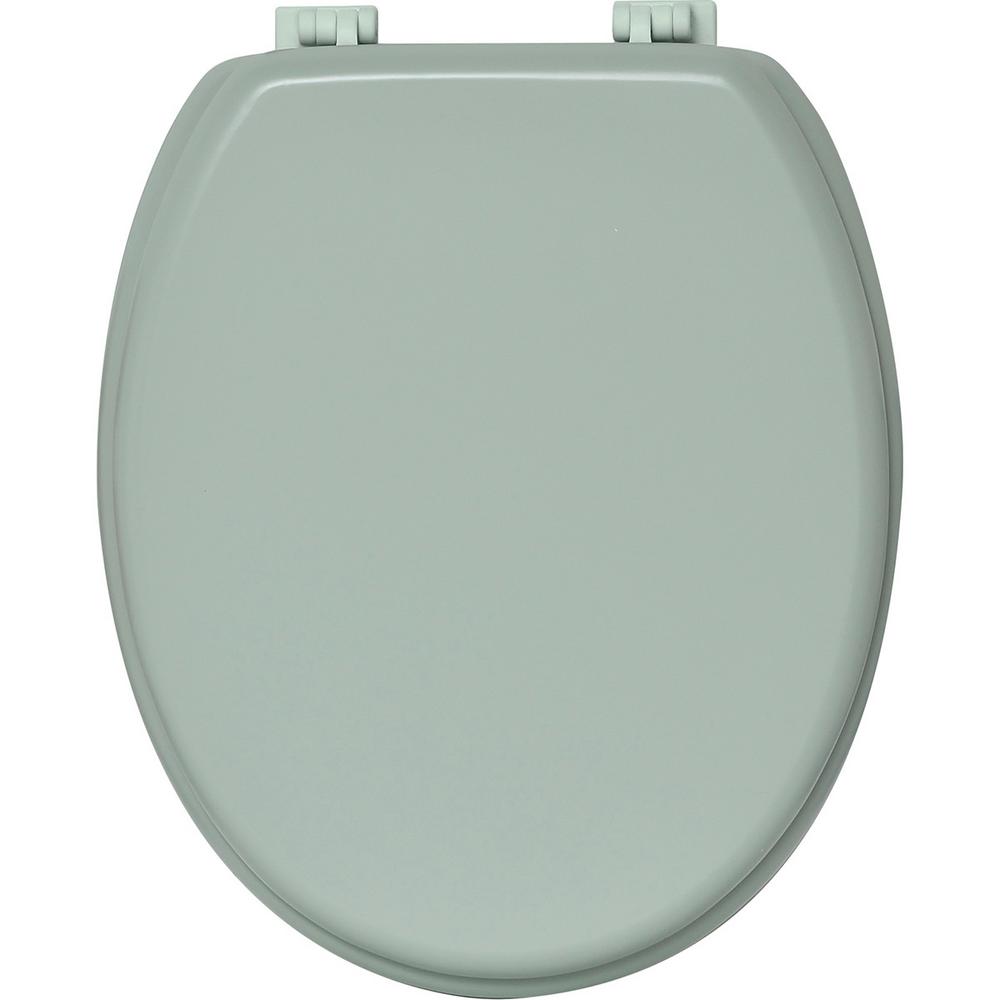 Oval Closed Front Toilet Seat in Almond Green-4101146 - The Home Depot