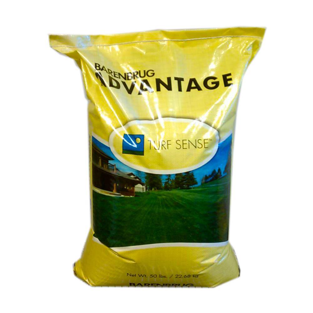 Barenbrug 50 lb. Barvado Tall Fescue Grass Seed25079 The Home Depot