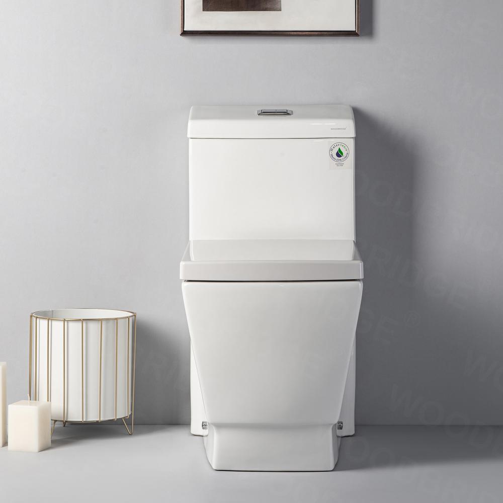 WOODBRIDGE Modern 1-Piece 1.0/1.6 GPF High Efficiency Dual Flush Square All-in One Toilet with Soft Closed Seat Included in White
