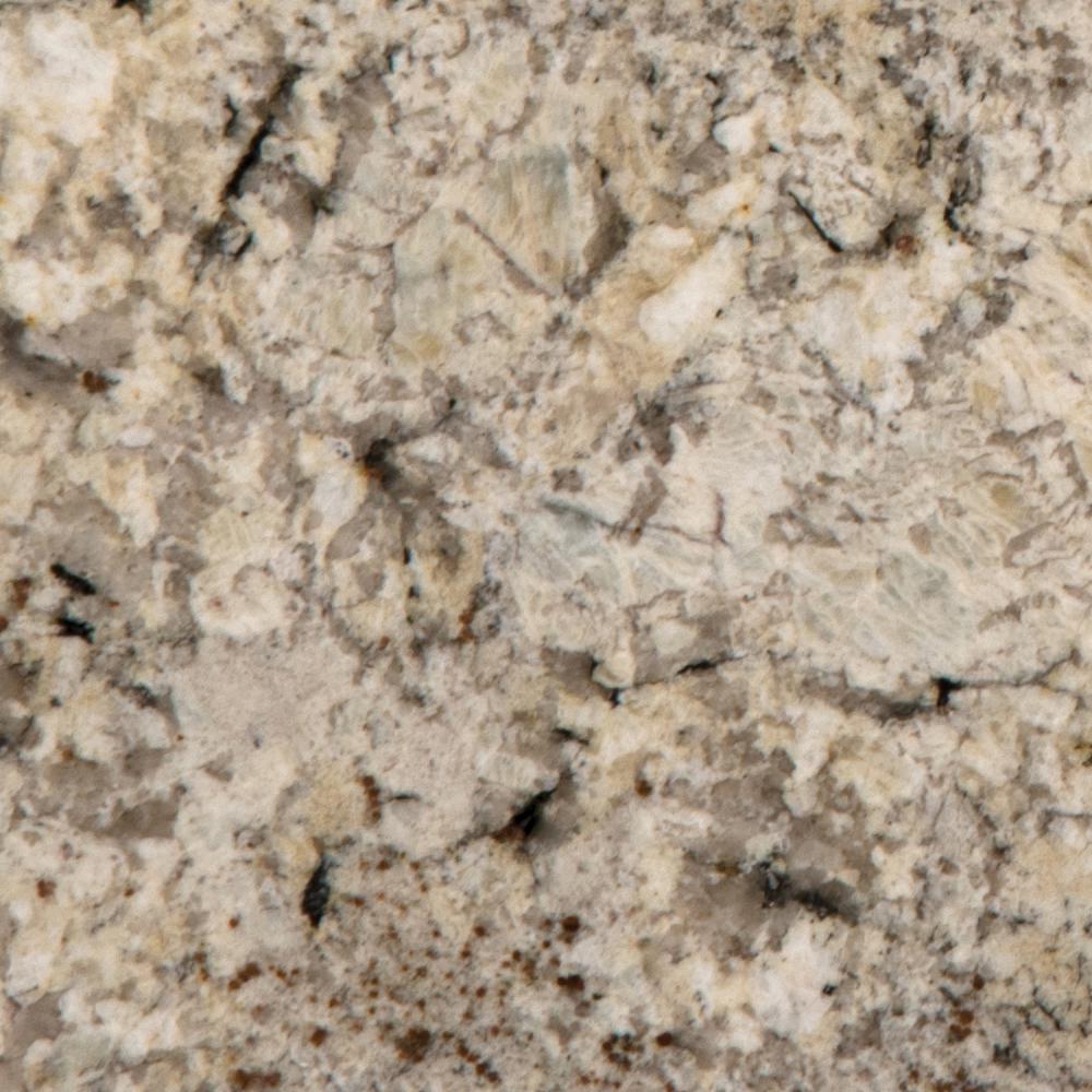 Stonemark 3 in x 3 in Granite Countertop Sample in 