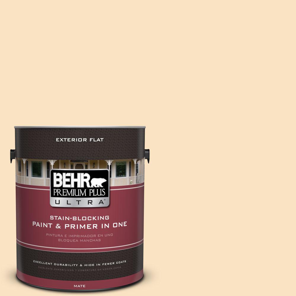 BEHR Premium Plus Ultra Home Decorators Collection 1-gal. #HDC-CT ...