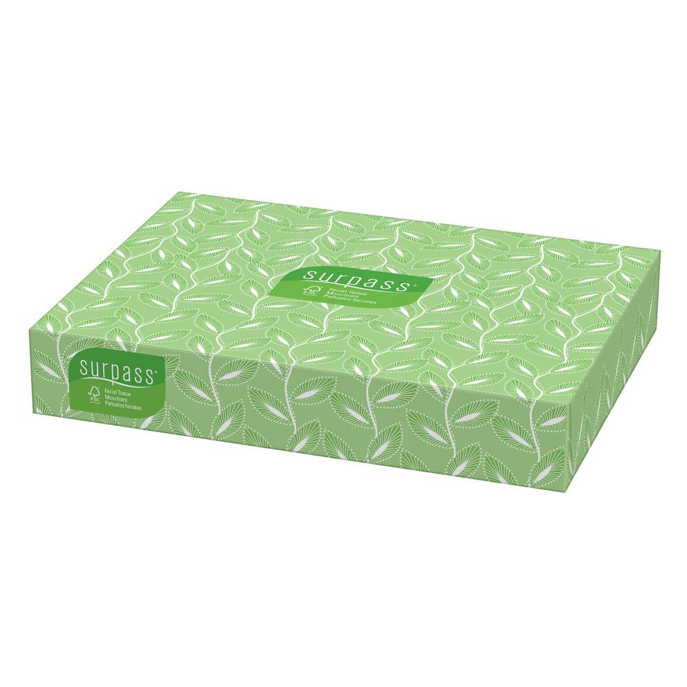 Kimberly-Clark PROFESSIONAL Surpass Facial Tissue 2-Ply (100-Count)
