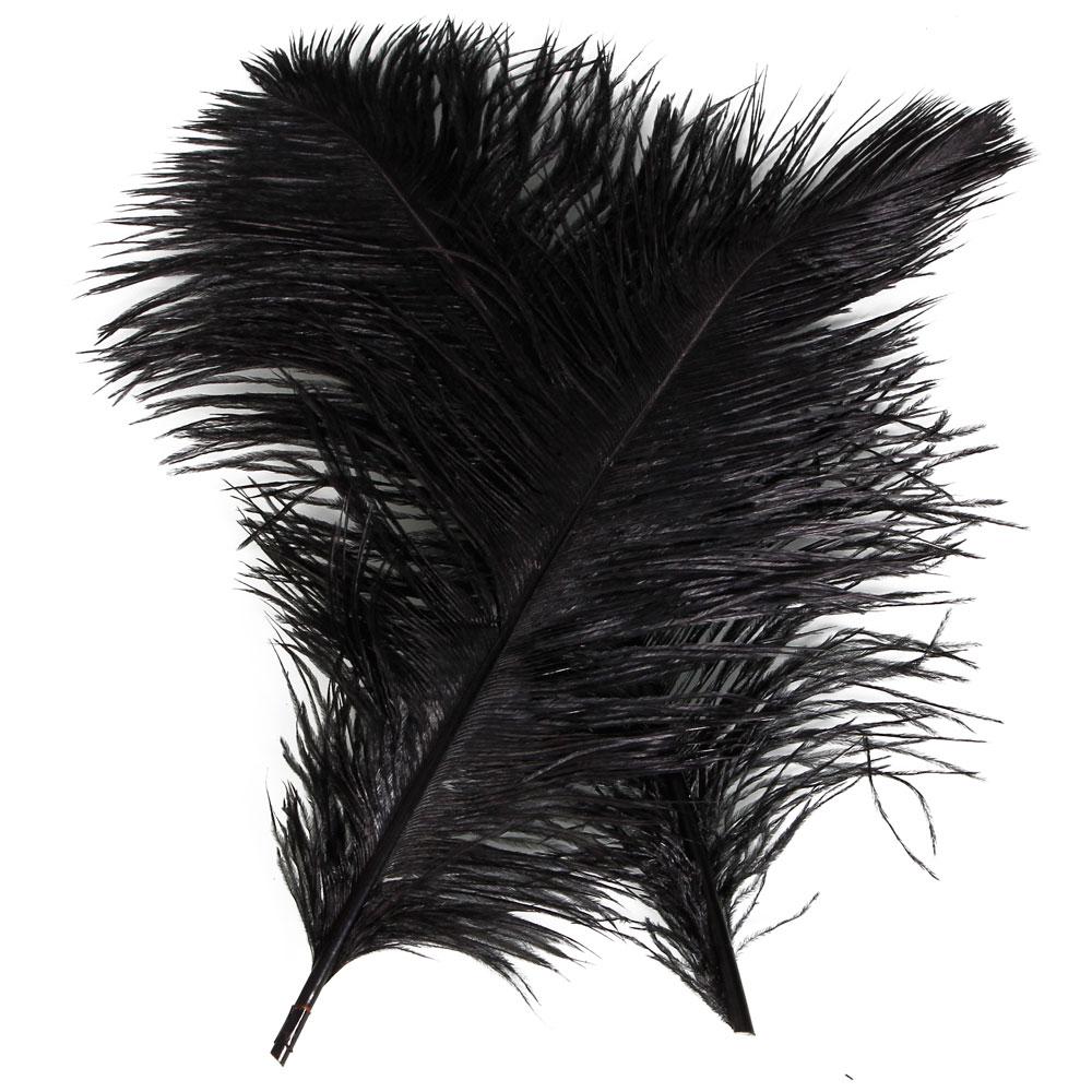 ostrich black feathers