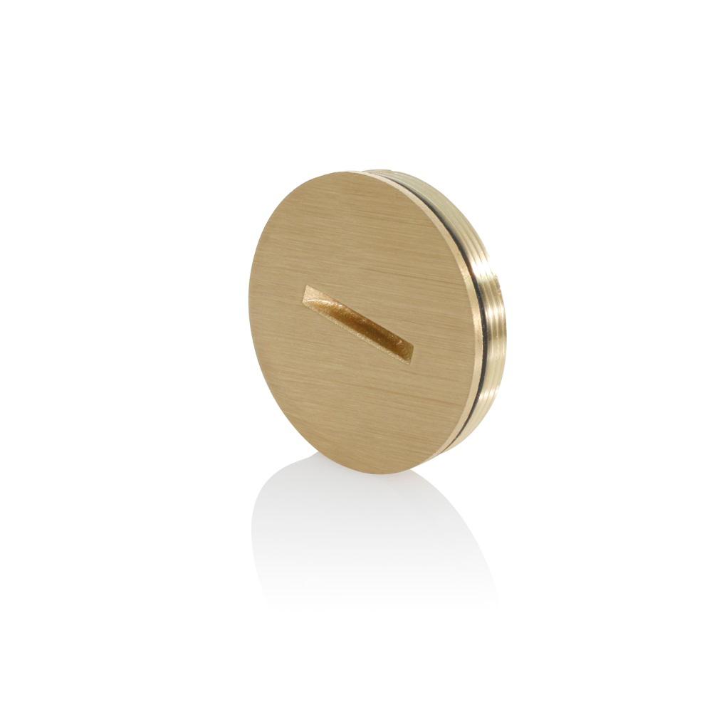 Leviton Replacement Screw Cap with ORing for Single Floor Box5249CAP