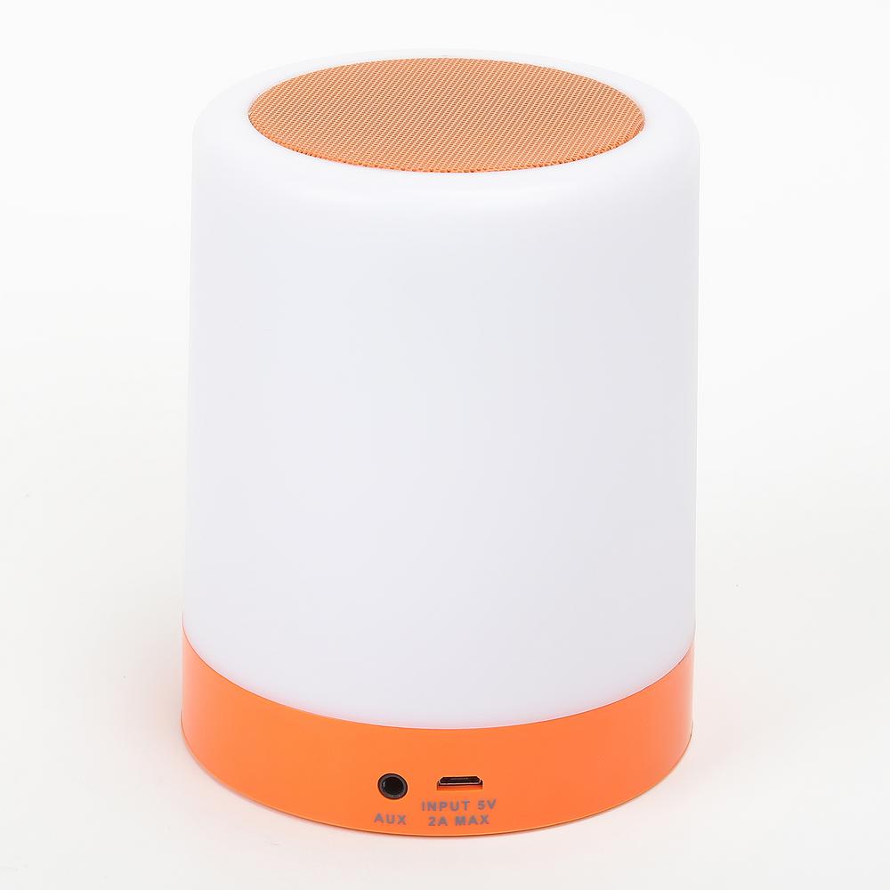 coleman slim bluetooth speaker