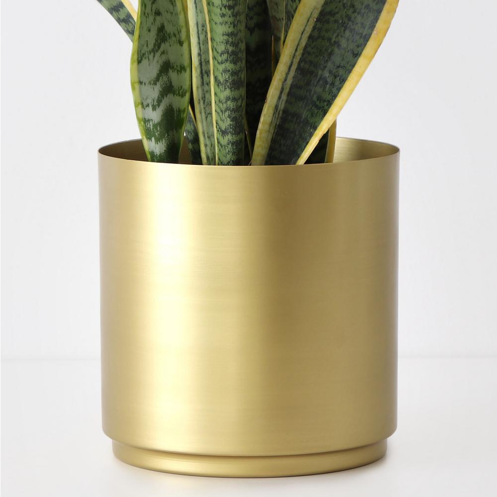 Peach & Pebble 10 in. Brass Finished Metal Planter (5 in