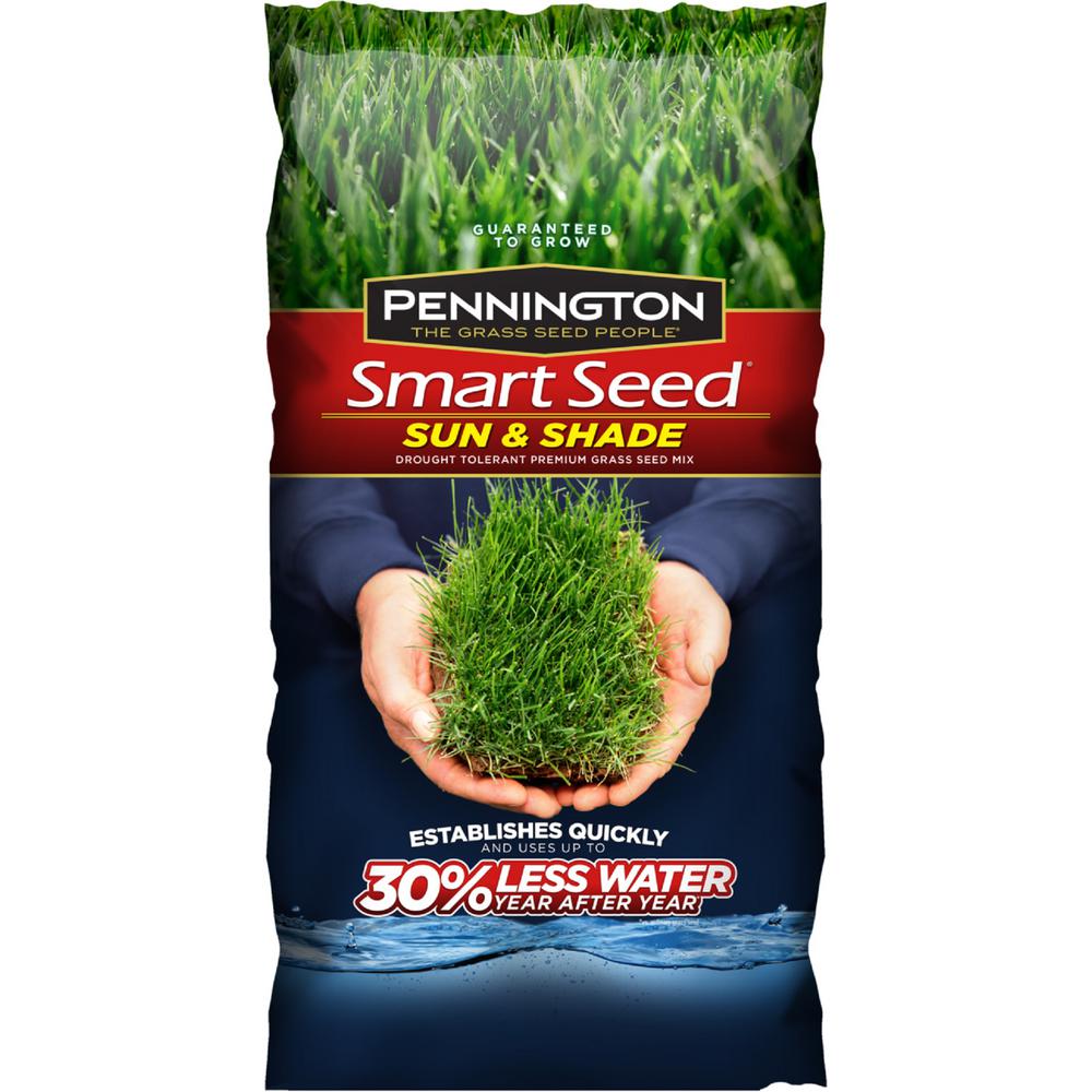 Pennington Smart Seed 20 lb. Sun and Shade Mix PC Grass Seed100526673 The Home Depot