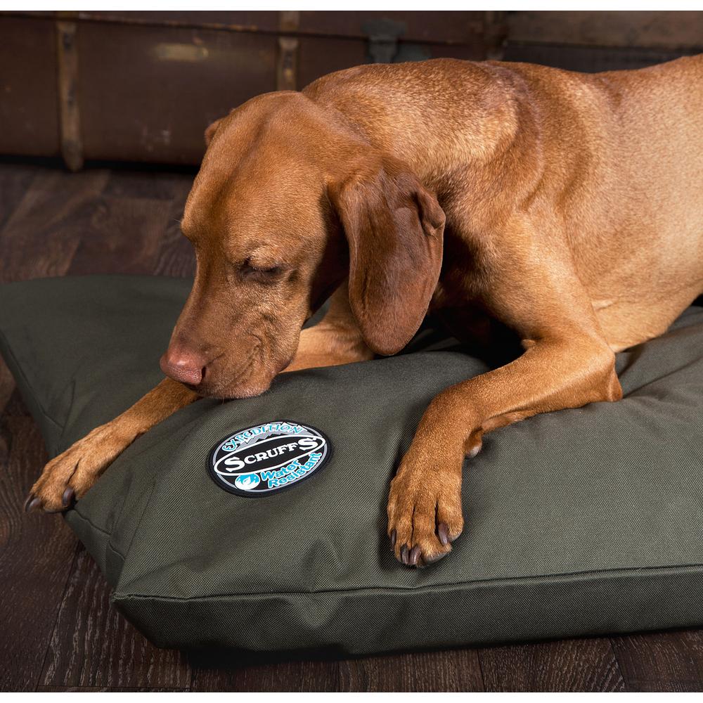 scruffs memory dog bed