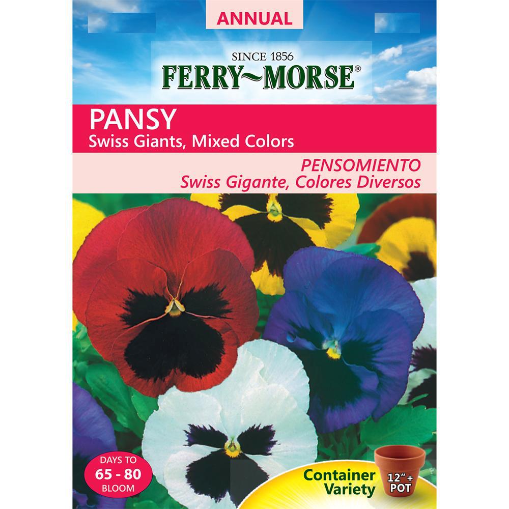 FerryMorse Tithonia Mexican Sunflower Seed6155 The Home Depot