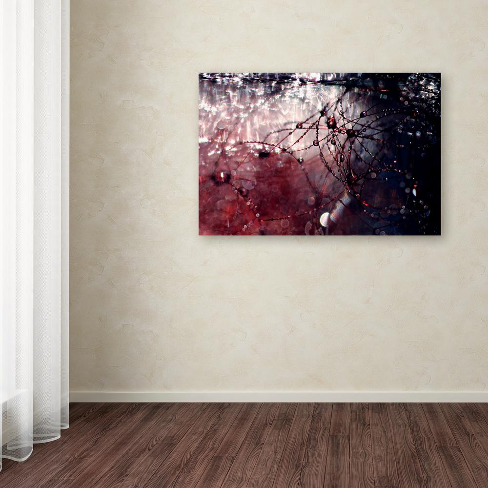 Trademark Fine Art 22 In X 32 In Galaxy Far Away By Beata