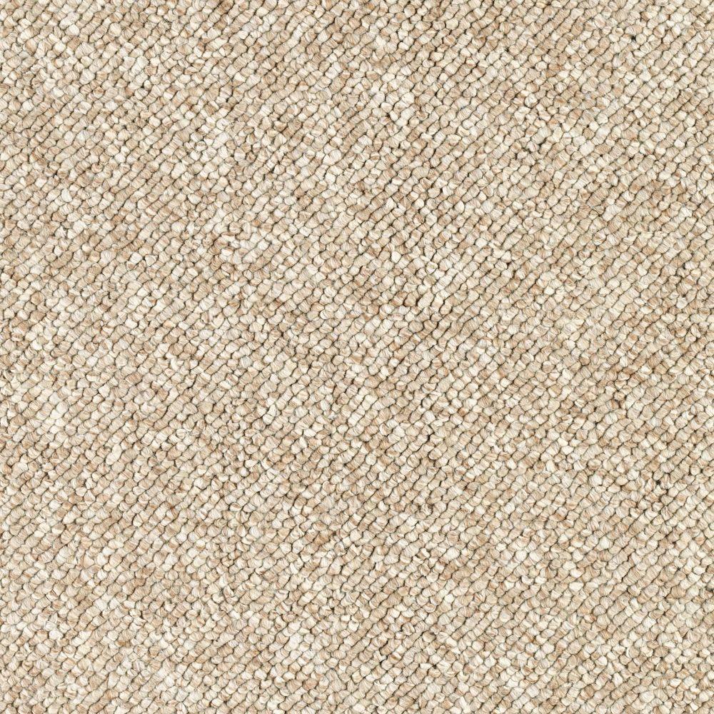 Qualifier Color Timeless Beige Loop 12 ft. Carpet0342D2412 The