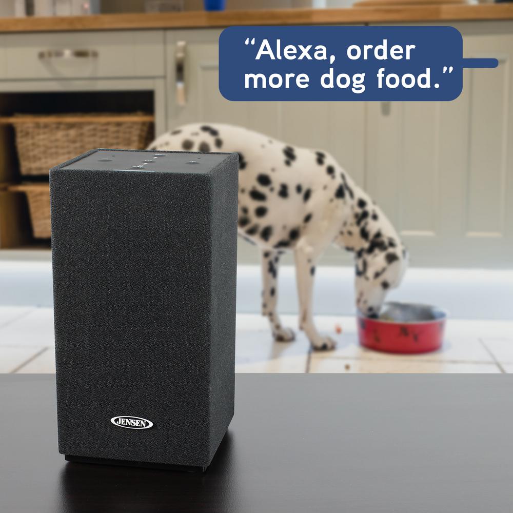 jensen alexa smart speaker