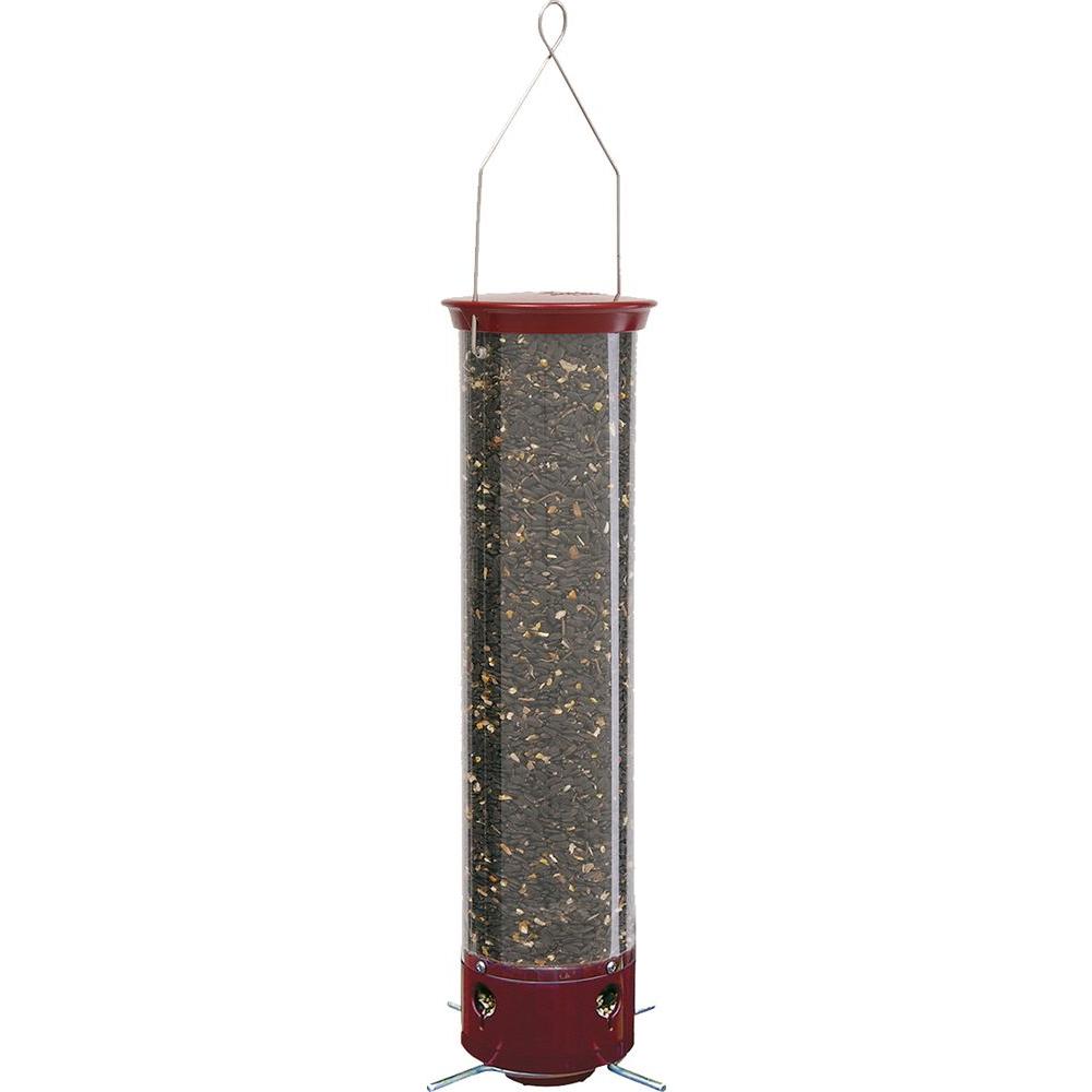 Droll Yankees 21 inch Yankee Dipper Collapsing Straight Perch Squirrel Proof... by Droll Yankees